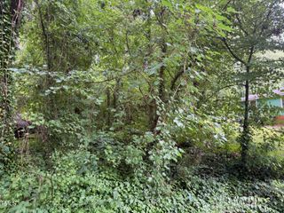 00 Pheasant Lane, Henderson, NC 27537