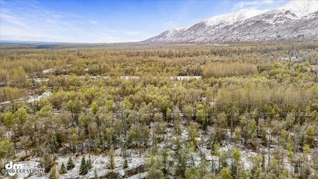 9811 N Runyon Circle, Palmer, AK 99645