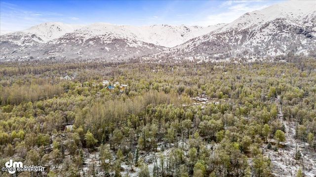 9811 N Runyon Circle, Palmer, AK 99645