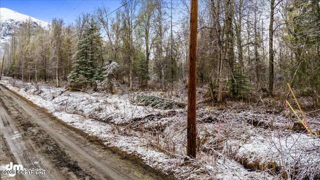 9811 N Runyon Circle, Palmer, AK 99645