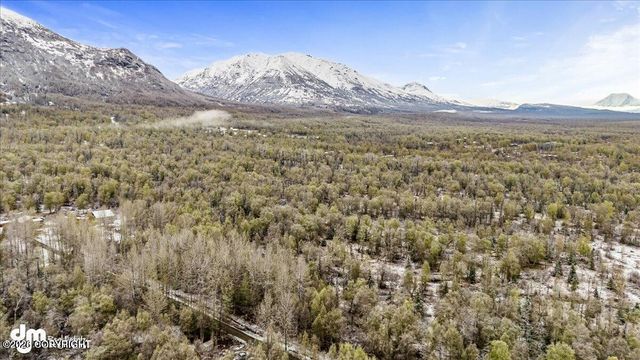 9811 N Runyon Circle, Palmer, AK 99645