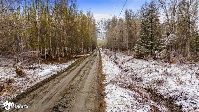 9811 N Runyon Circle, Palmer, AK 99645