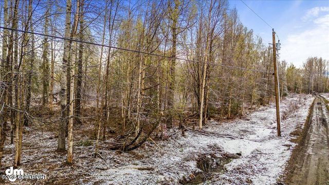 9811 N Runyon Circle, Palmer, AK 99645