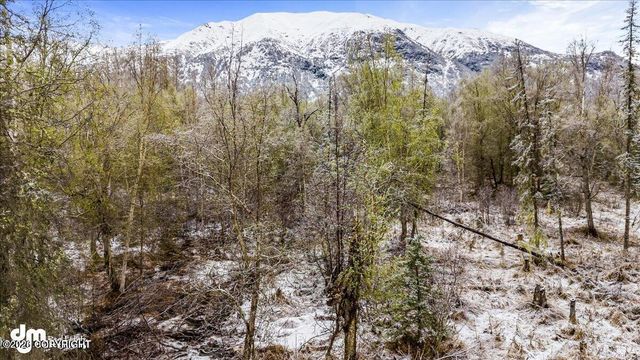 9811 N Runyon Circle, Palmer, AK 99645