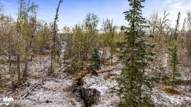 9811 N Runyon Circle, Palmer, AK 99645