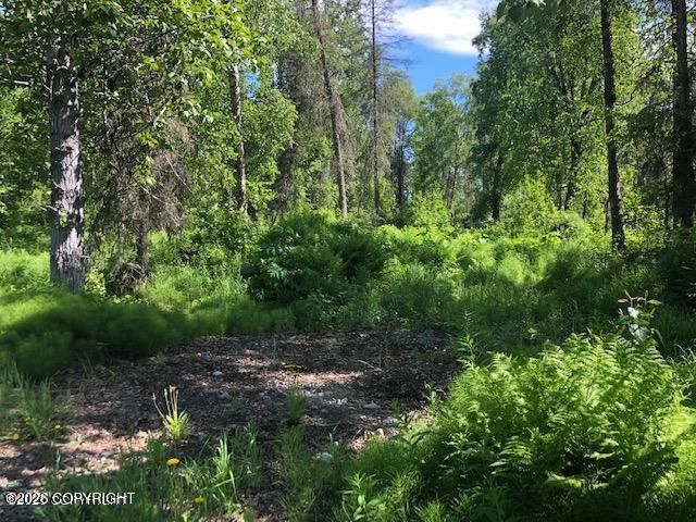 9811 N Runyon Circle, Palmer, AK 99645