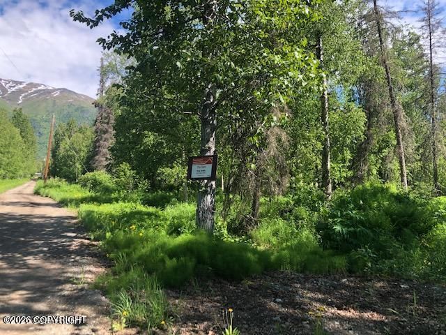 9811 N Runyon Circle, Palmer, AK 99645