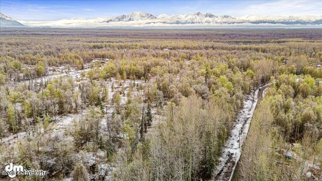 9811 N Runyon Circle, Palmer, AK 99645