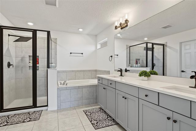 2470 STANDING ROCK CIRCLE, Oakland, FL 34787