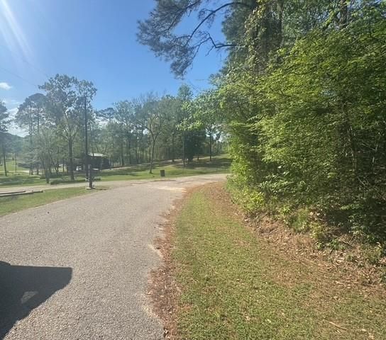 TBD Evergreen Circle, Point Blank, TX 77364