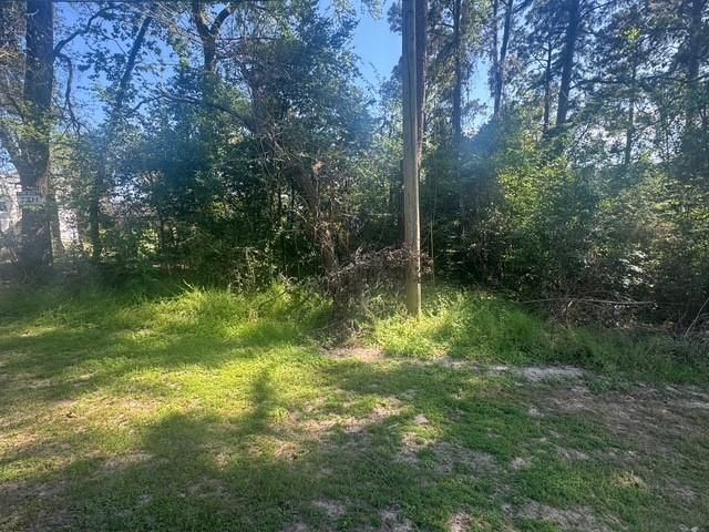 TBD Evergreen Circle, Point Blank, TX 77364