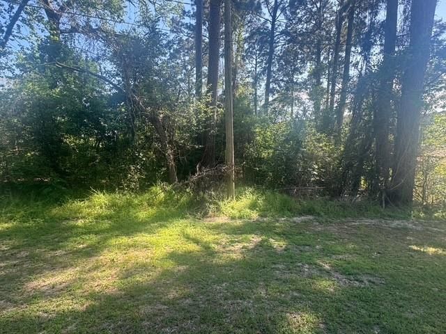 TBD Evergreen Circle, Point Blank, TX 77364