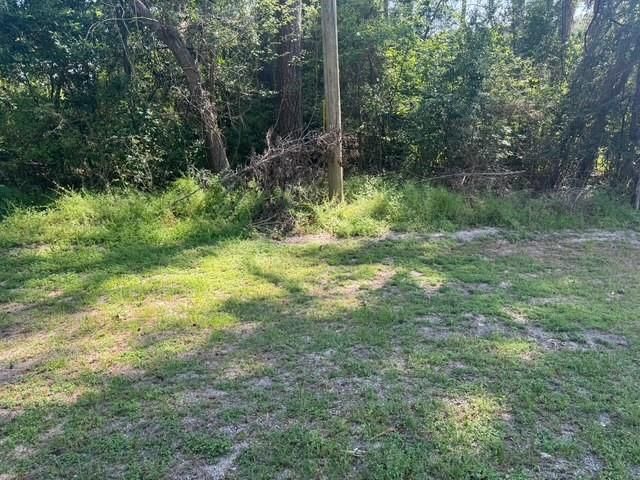 TBD Evergreen Circle, Point Blank, TX 77364