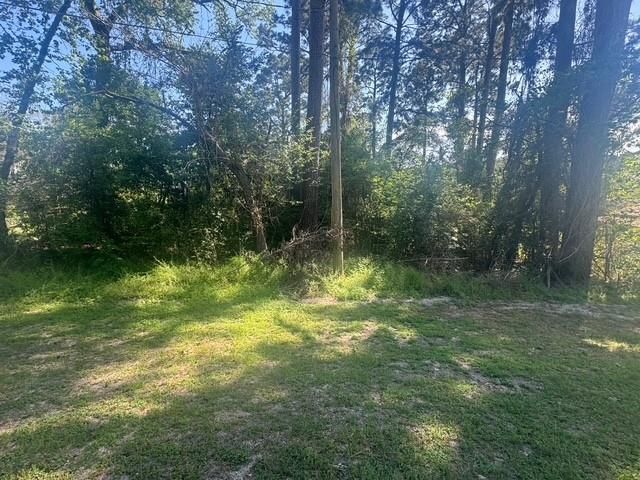 TBD Evergreen Circle, Point Blank, TX 77364