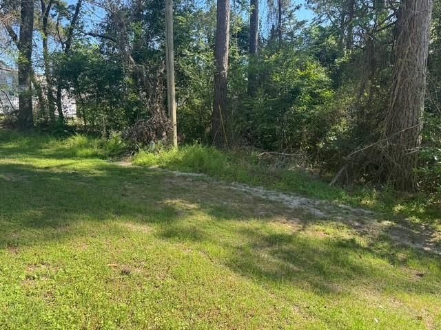 TBD Evergreen Circle, Point Blank, TX 77364