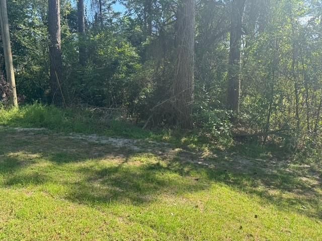 TBD Evergreen Circle, Point Blank, TX 77364