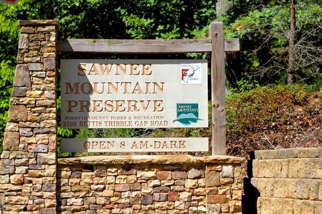 3725 Townley Lane, Cumming, GA 30040