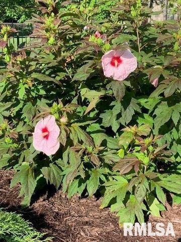 2608 WESTPORT Drive, Springfield, IL 62711