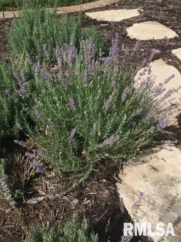 2608 WESTPORT Drive, Springfield, IL 62711