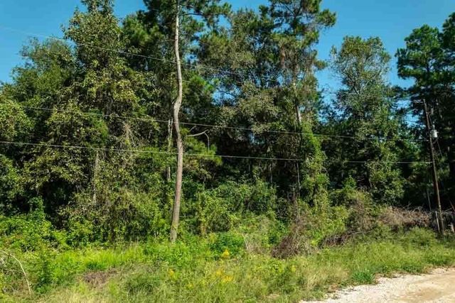25865 Somerset, New Caney, TX 77357