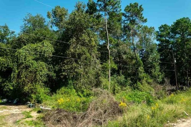 25865 Somerset, New Caney, TX 77357