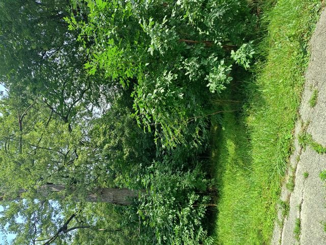 10802 W York House Road, Beach Park, IL 60087