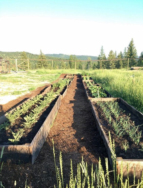 25 Hodge Ridge, Kila, MT 59920 photo 55