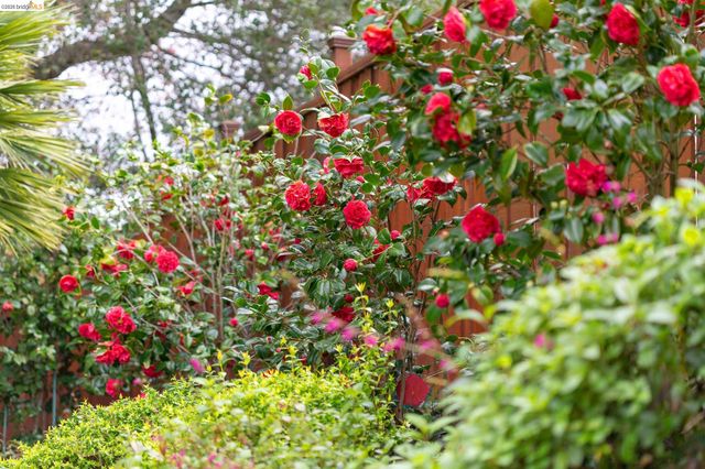 261 Silverado CT, Oakland, CA 94605