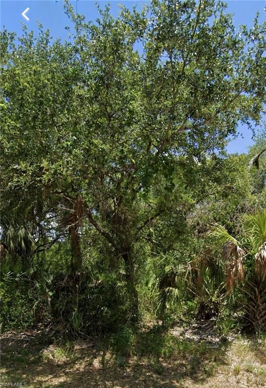 1621 Canton AVE, LEHIGH ACRES, FL 33972 — photo 2