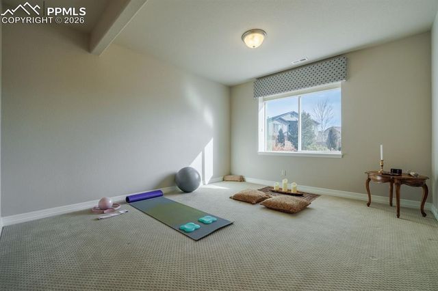 10127 Barbour Fork Court, Colorado Springs, CO 80924