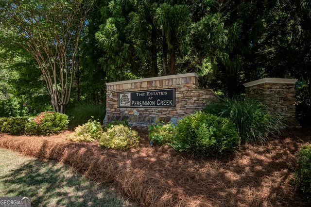 381 Rosebay Lane, Sharpsburg, GA 30277