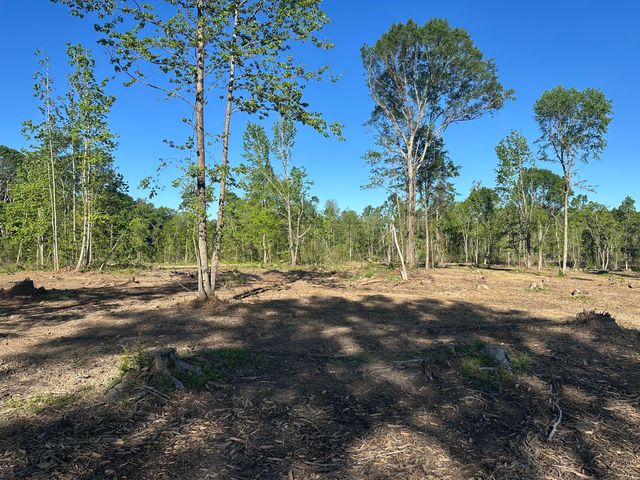 000 Sandy Run Rd., Hattiesburg, MS 39402