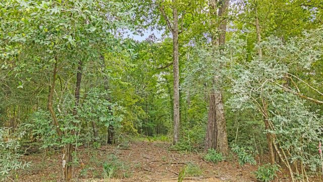 15389 Woodlife Road, Willis, TX 77378