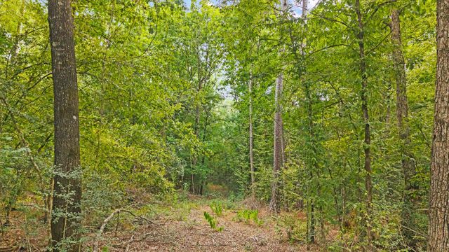 15389 Woodlife Road, Willis, TX 77378
