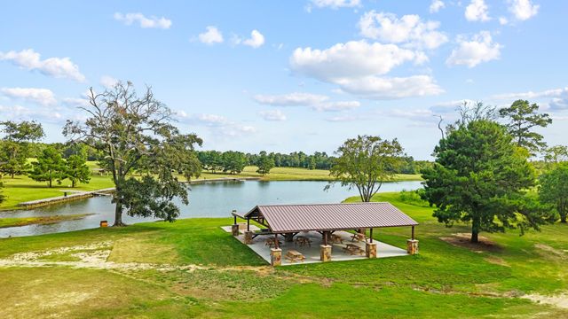 15389 Woodlife Road, Willis, TX 77378