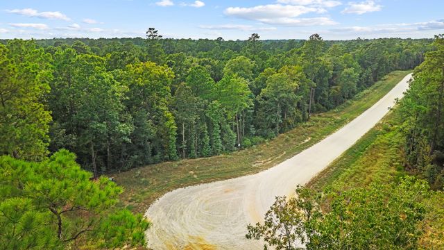 15389 Woodlife Road, Willis, TX 77378