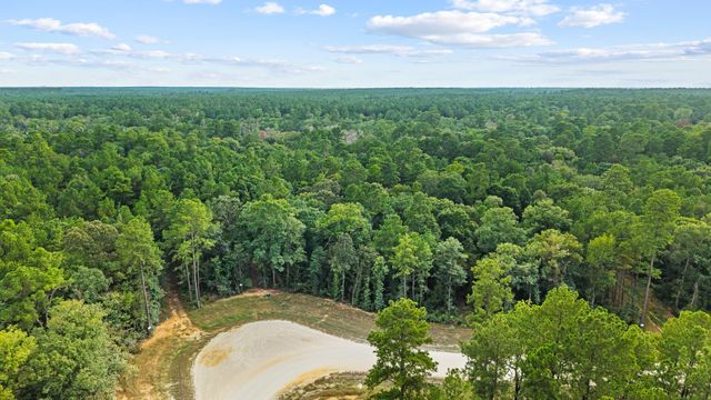 15389 Woodlife Road, Willis, TX 77378