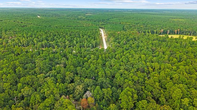 15389 Woodlife Road, Willis, TX 77378
