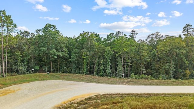 15389 Woodlife Road, Willis, TX 77378