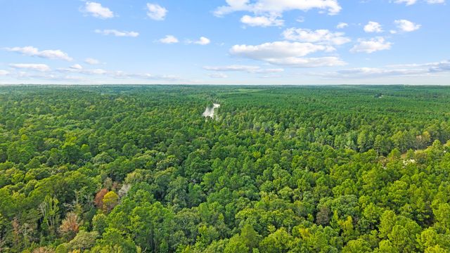 15389 Woodlife Road, Willis, TX 77378