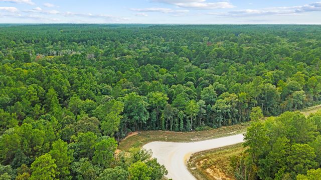 15389 Woodlife Road, Willis, TX 77378