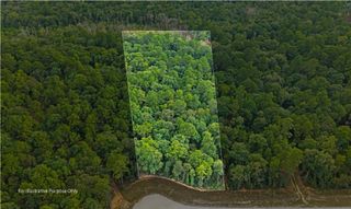 15389 Woodlife Road, Willis, TX 77378