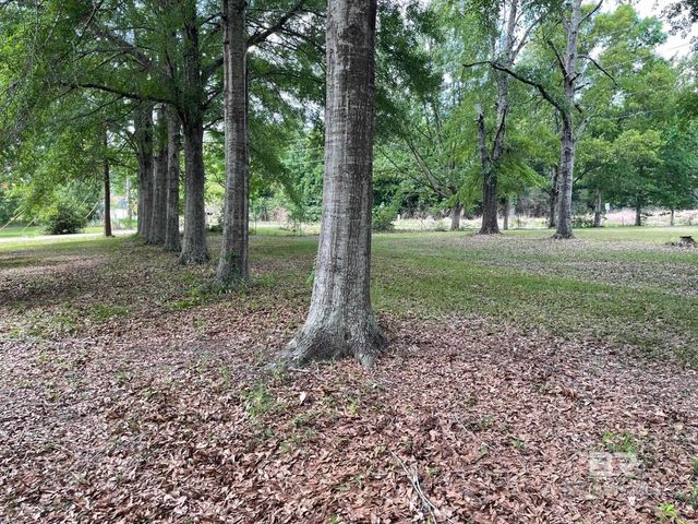 27498 Wilcox Road, Robertsdale, AL 36567