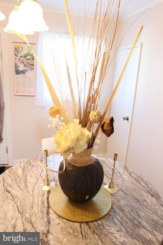 48 JOHN COLLINS CIR, Dover, DE 19904