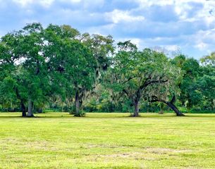 4239 Cr 348, Brazoria, TX 77422