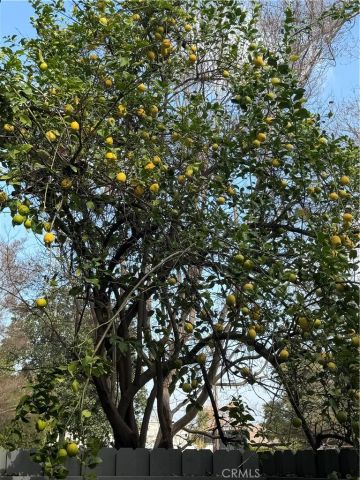 4325 Whitsett, Studio City, CA 91604