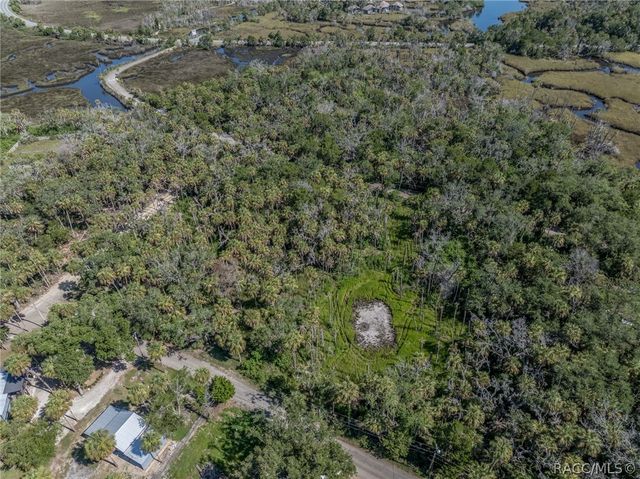 12207 W Gulf Breeze Court, Crystal River, FL 34429