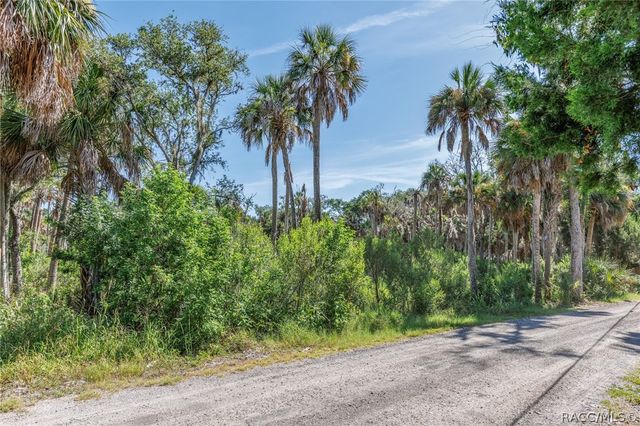 12207 W Gulf Breeze Court, Crystal River, FL 34429