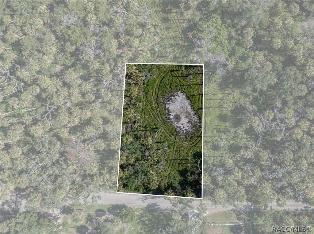 12207 W Gulf Breeze Court, Crystal River, FL 34429