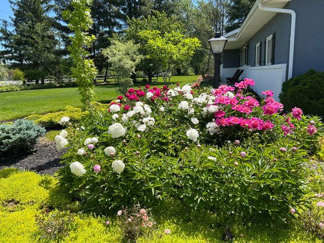 6875 Central College Road, New Albany, OH 43054